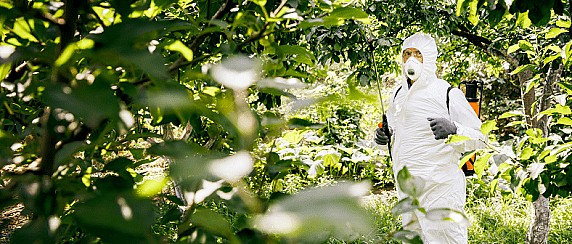 Campagna di derattizzazione e interventi contro gli insetti infestanti per il 2026