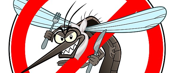 ORDINANZA PER LA PREVENZIONE ED IL CONTROLLO DELLE MALATTIE TRASMESSE DA INSETTI VETTORI ED, IN PARTICOLARE, DALLA ZANZARA TIGRE (AEDES ALBOPICTUS) E DALLA ZANZARA COMUNE (CULEX PIPIENS) – ANNO 2026.