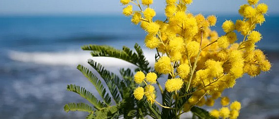 Libri in dono per la festa della donna