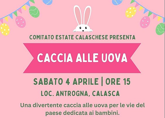 Immagine non trovata