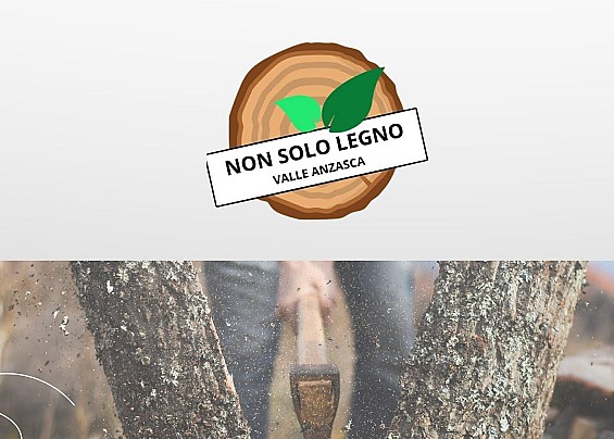 Immagine non trovata