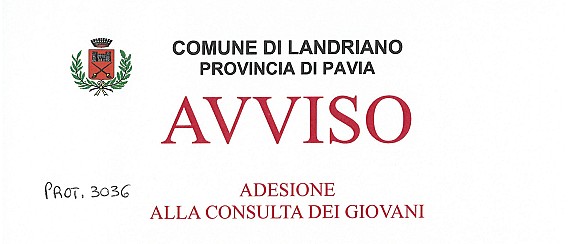 Consulta dei giovani