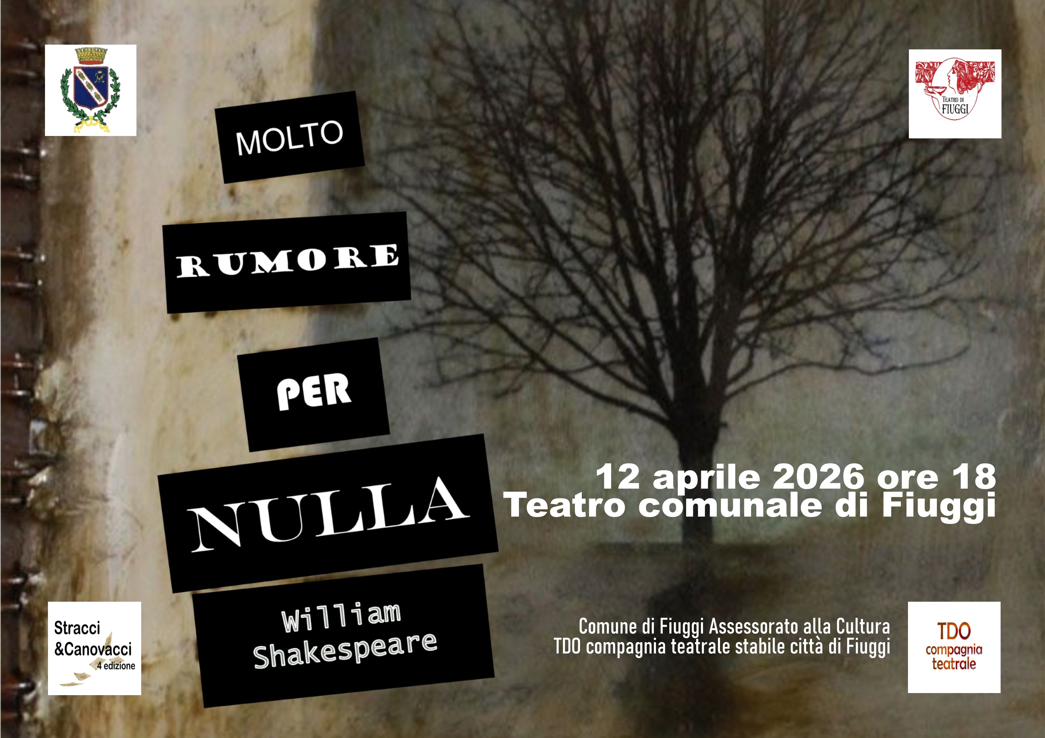 MOLTO_RUMORE_PER_NULLA_orizzontale