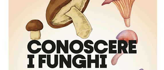 Corso formativo per l’abilitazione alla raccolta dei funghi epigei spontanei
