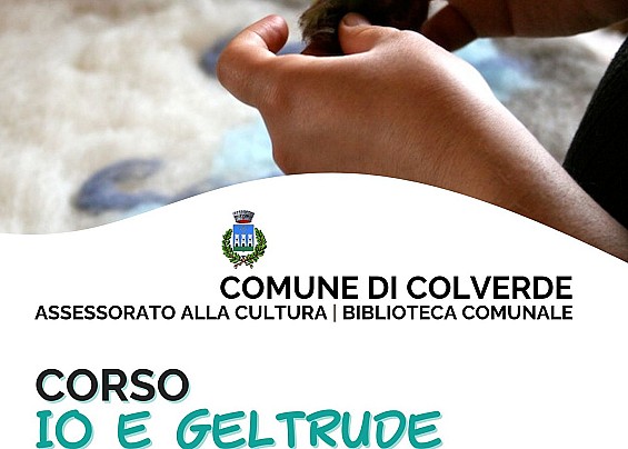 Immagine non trovata