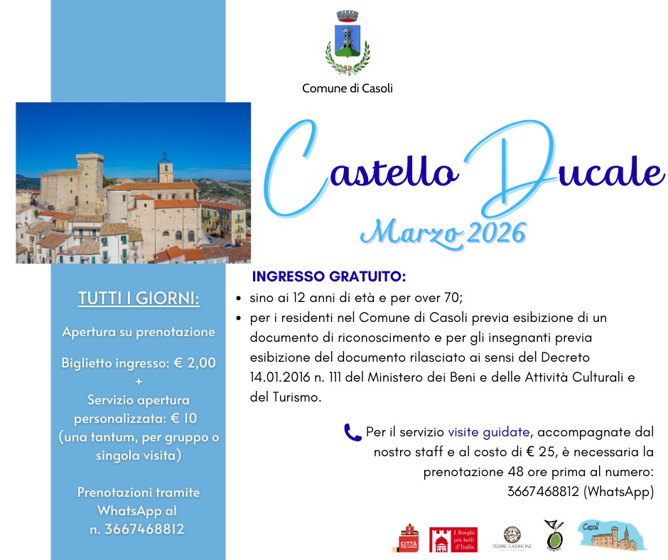 WhatsApp Image 2026-03-12 at 17.41.43