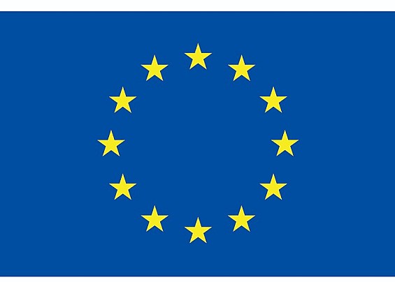 Immagine non trovata