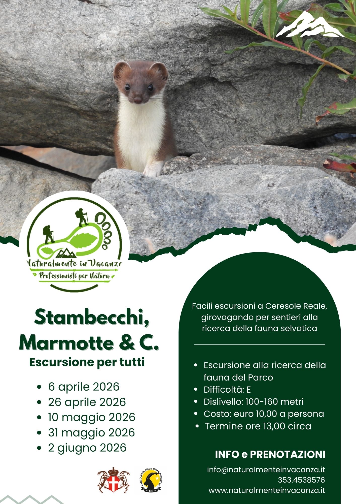 Stambecchi, Marmotte & C. primavera 26