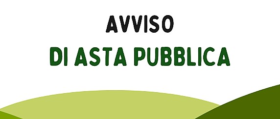 Avviso di asta pubblica per alienazione terreno edificabile + area verde in Via Salecchia