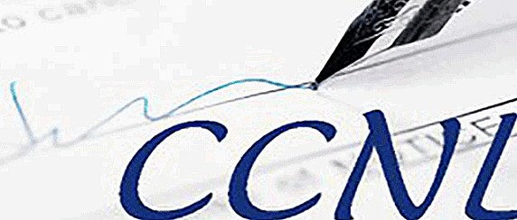 Aggiornamento del Codice disciplinare del personale al CCNL Funzioni Locali 2022–2024