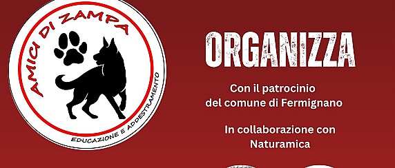 Educazione a Quattro Zampe