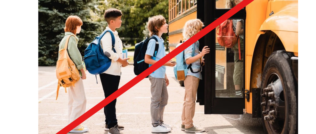 Sospensione trasporto scolastico