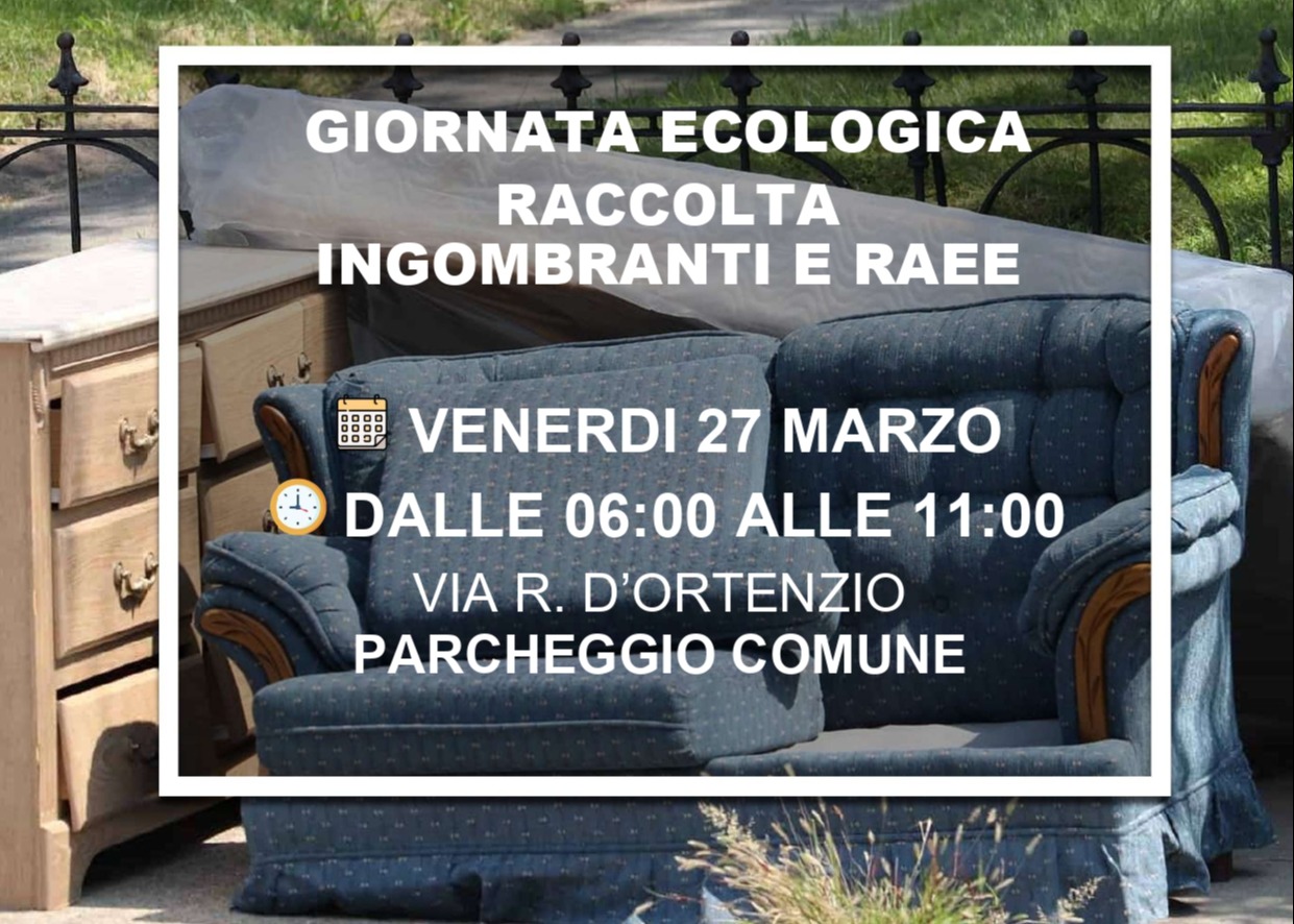 GIORNATA ECOLOGICA RACCOLTA INGOMBRANTI E RAEE