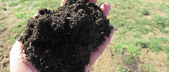 Distribuzione gratuita di compost