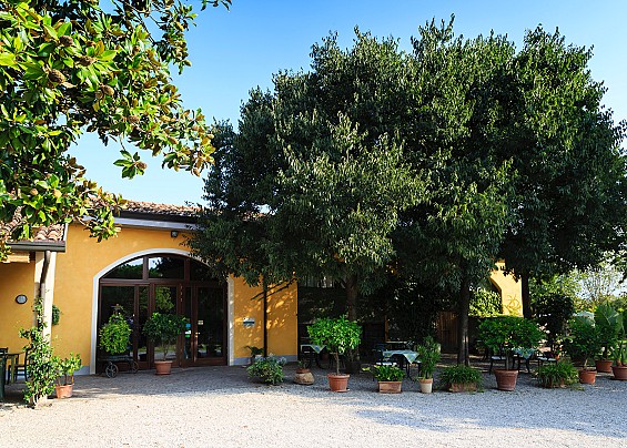 Agriturismo La Montina 