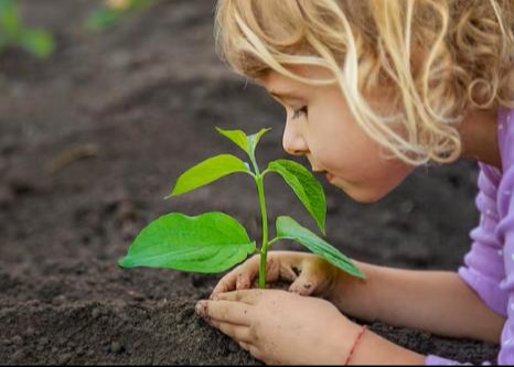 Laboratori per bambini: dalla terra alle mani