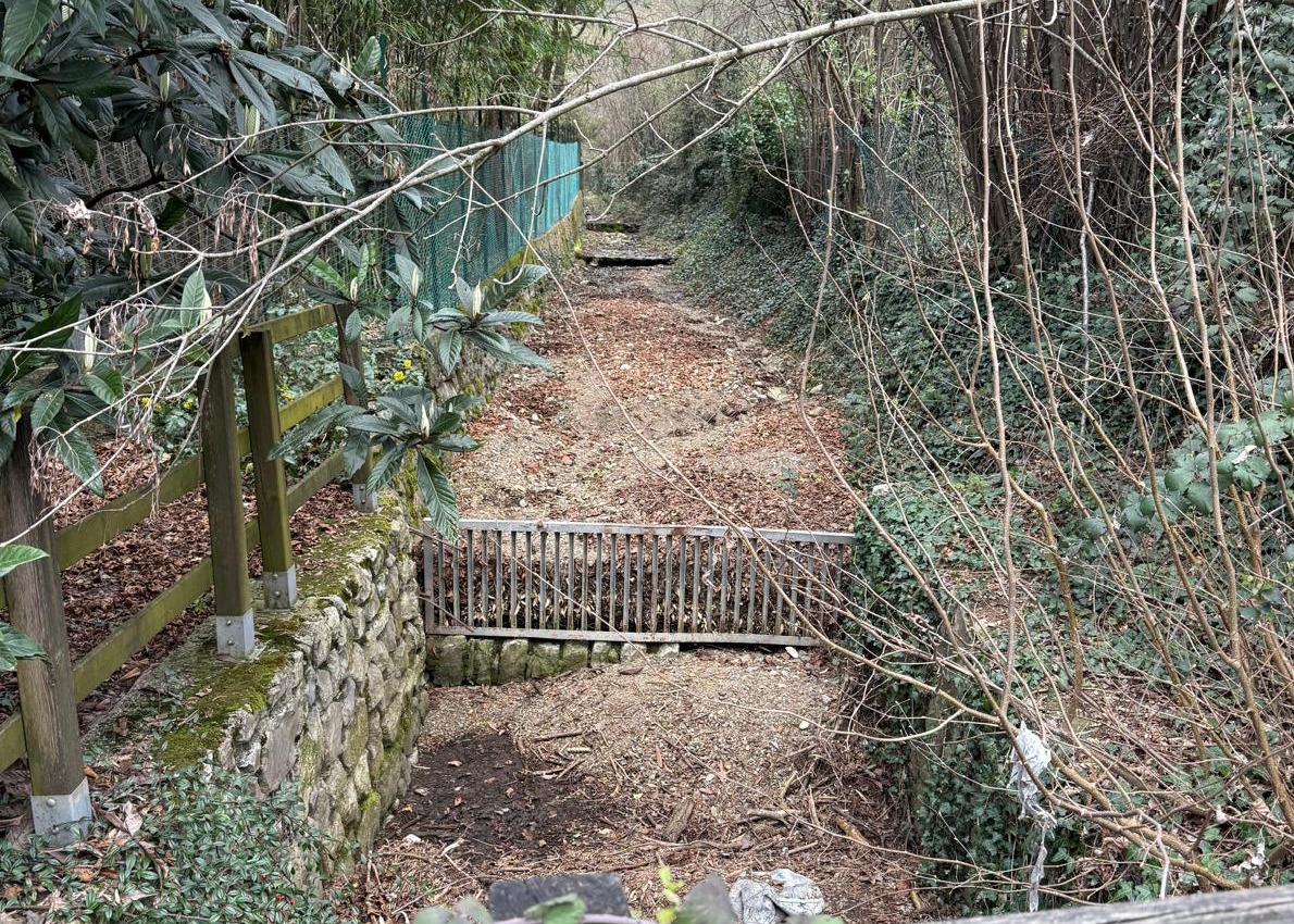 Intervento del 21 e 22 marzo 2026