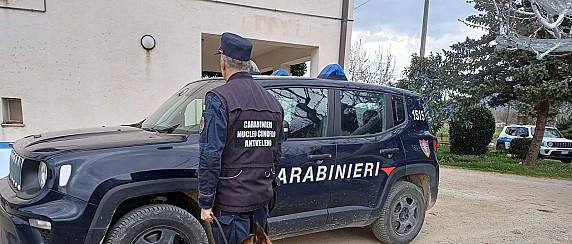 Bonificata la zona di Faldo dopo il ritrovamento di esche avvelenate