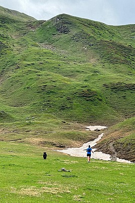 Internet_20260325_161700_12