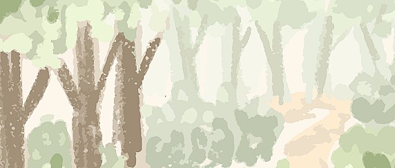 Immagine non trovata