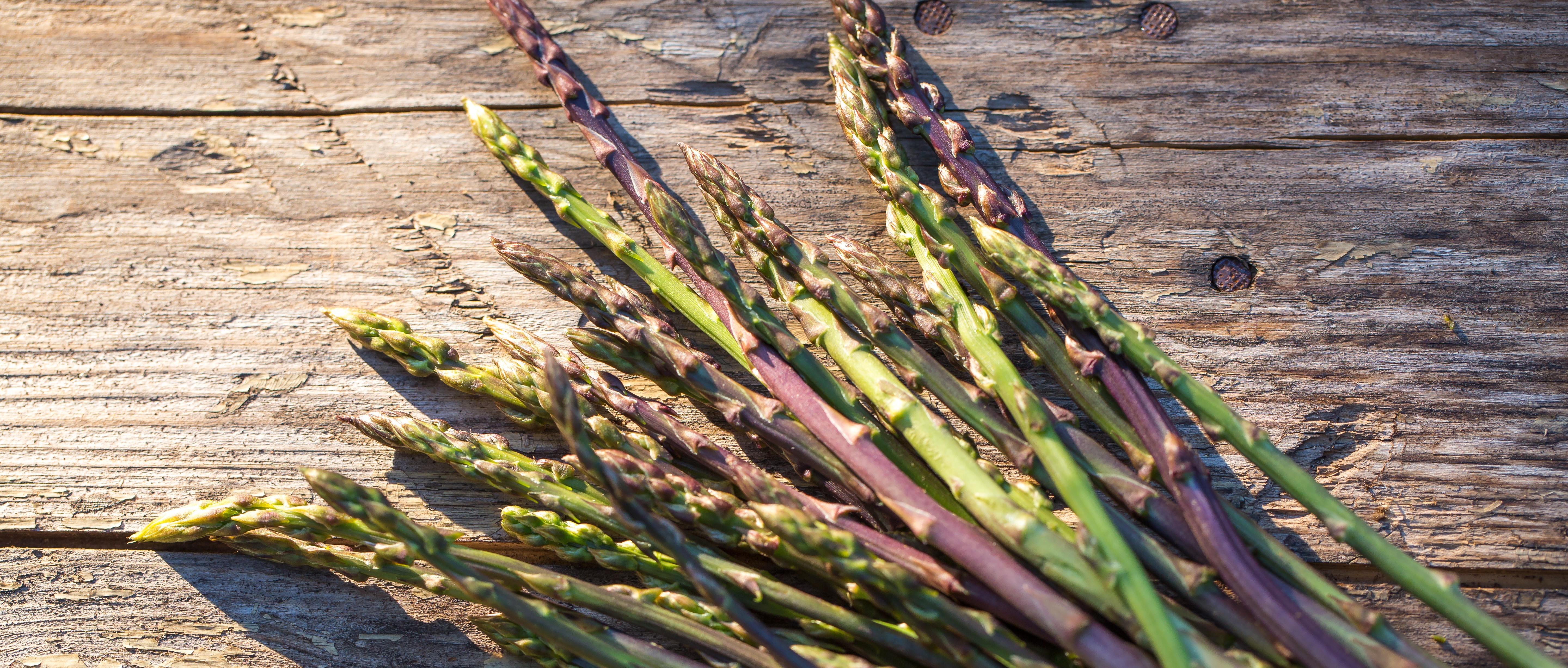 SAGRA DEGLI ASPARAGI 2026