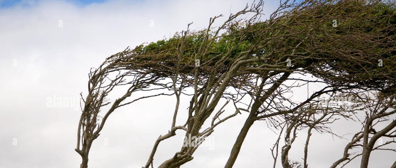 Avviso condizioni meteo avverse per vento e mareggiate