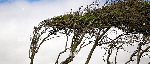Avviso condizioni meteo avverse per vento e mareggiate
