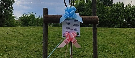 26/03/2026 NUOVI NATI 2025: AD ALBIGNASEGO UN ALBERO PER OGNI BAMBINO NEL NUOVO PARCO DI LION