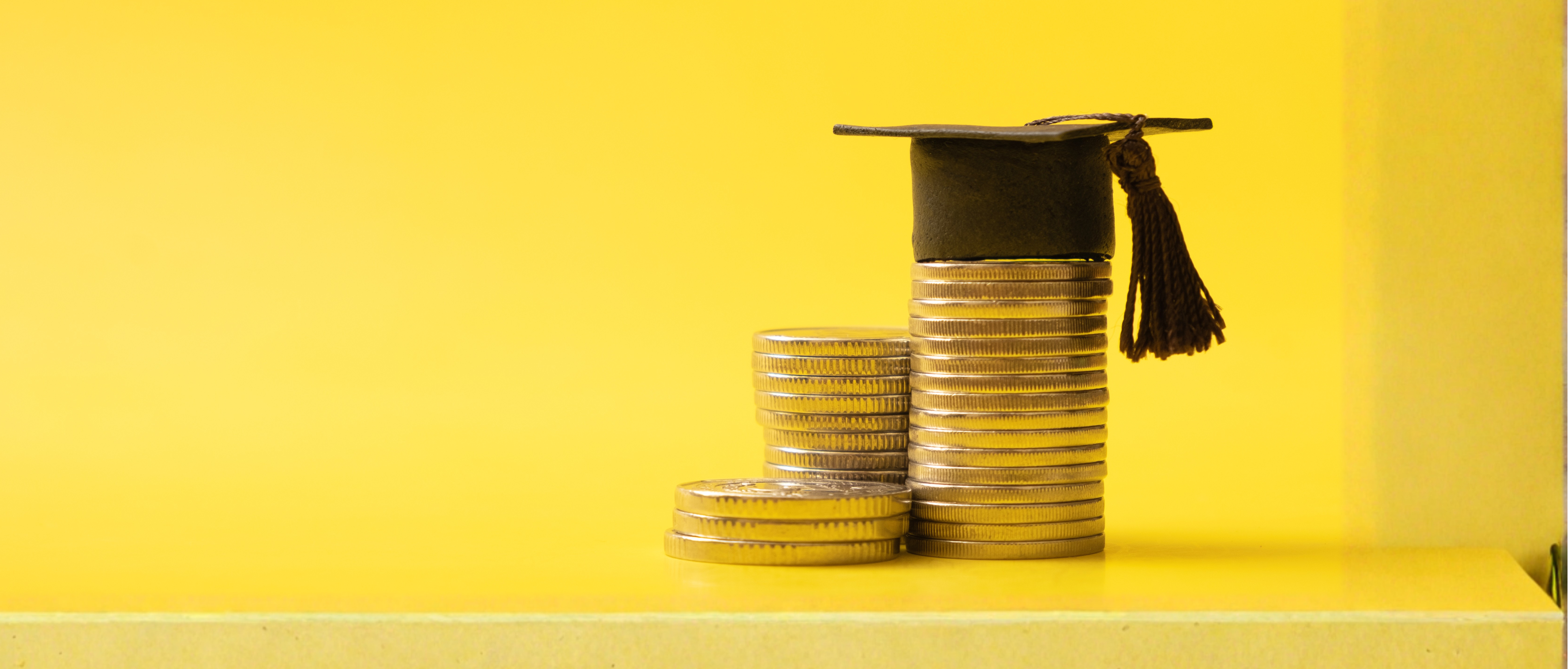 Approvate le graduatorie per l’integrazione della Borsa di studio per studenti laureati in corso nell'a.a. 2024/2025/Scholarship integration ranking lists approved for students who graduated in the 2024/2025 academic year