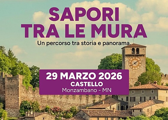 Immagine non trovata