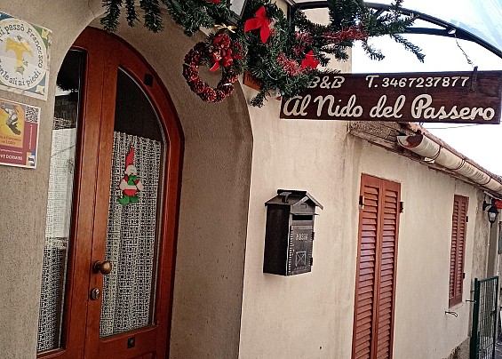 Immagine non trovata