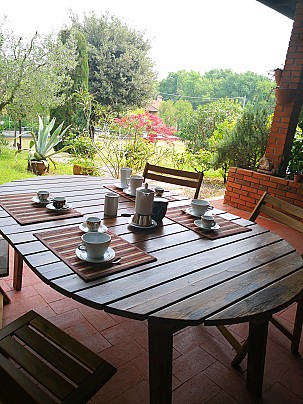 IMG_20240415_125347_resized_20240415_071140313