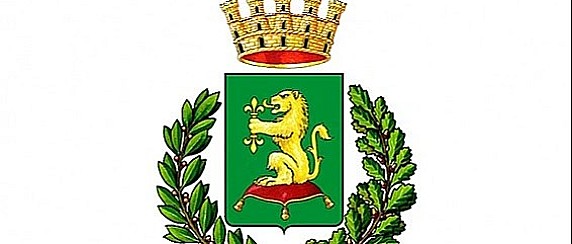 Esercizio del diritto di voto e di eleggibilità in Italia alle elezioni comunali per i cittadini dell'Unione Europea