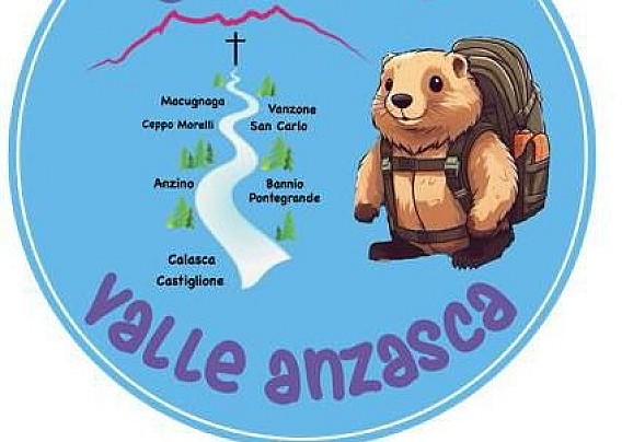 Immagine non trovata