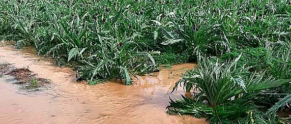 DICHIARAZIONE STATO DI CALAMITA' NATURALE NEL TERRITORIO COMUNALE A SEGUITO DI AVVERSI ED ECCEZIONALI EVENTI METEORICI REGISTRATI NEI GIORNI 25,26 E 27 MARZO 2026