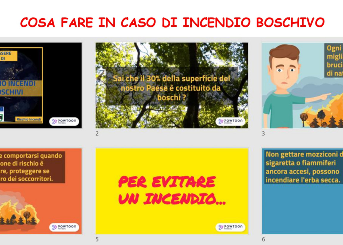 Immagine principale