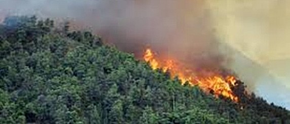 Dichiarazione periodo ad alto rischio di incendio boschivo