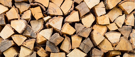 Avviso vendita legna da ardere