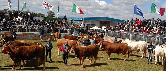 Sabato 11 e domenica 12 aprile la Fiera zootecnica e Agro alimentare di Ozieri. Vedi il programma e acquista i biglietti on line.