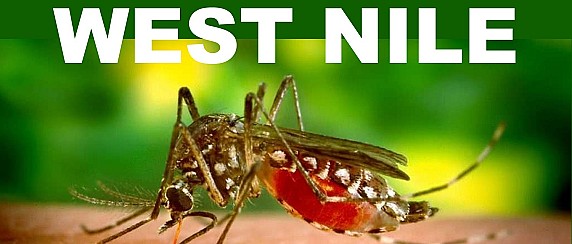 Piano Formativo per la Prevenzione, la Sorveglianza ed il Controllo delle Arbovirosi - Regione Lazio