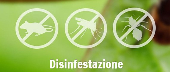 Avviso disinfestazione contro insetti alati  e striscianti.