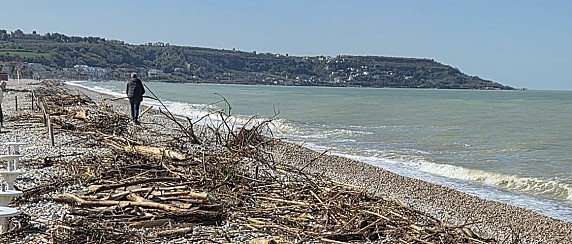 Autorizzazione al prelievo manuale di materiale legnoso naturale spiaggiato (biomassa) su tutto il litorale comunale