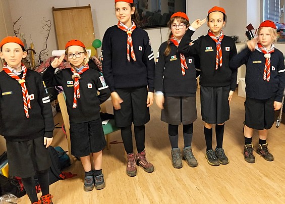 GIOCHI DIVERTENTI CON LE COCCINELLE LUCINICO 1