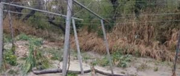 AVVISO – Avversità atmosferiche in Abruzzo: segnalazione dei danni.