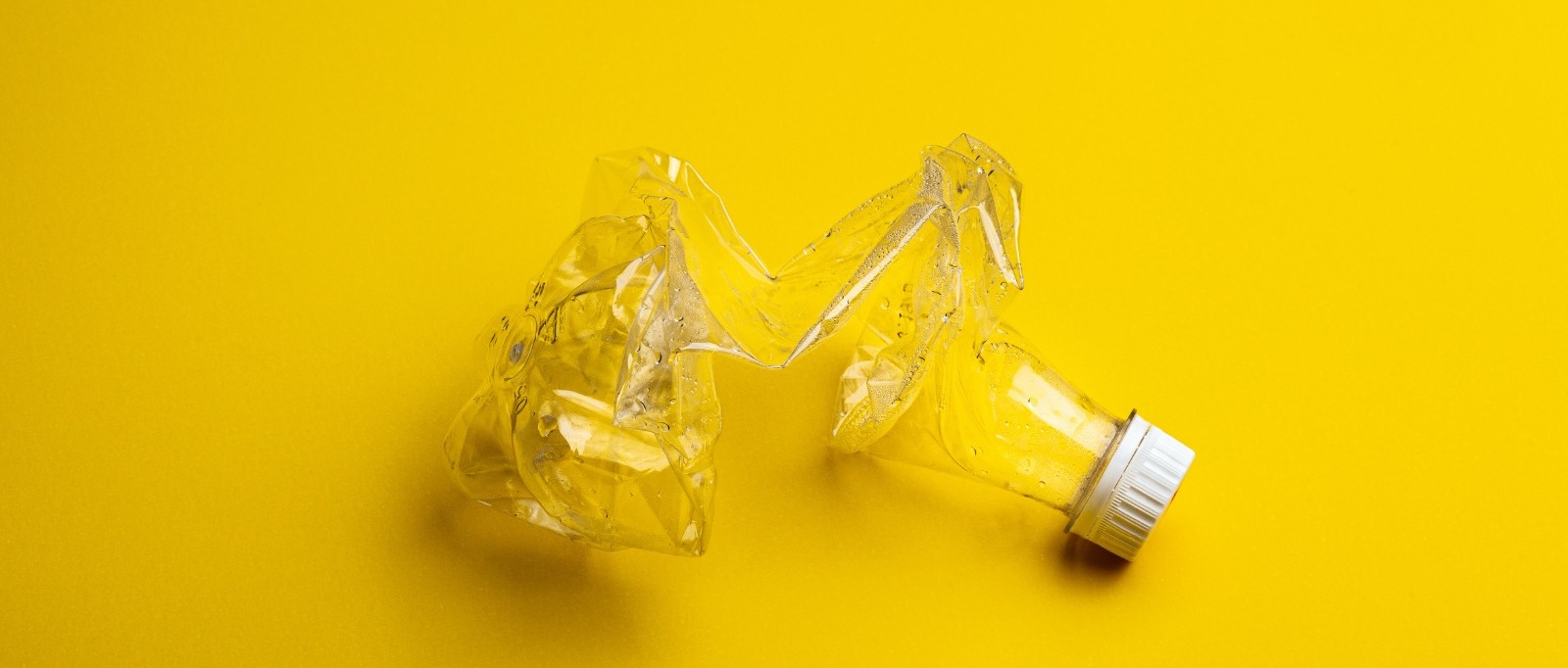 Sistema Premiante “Mangiaplastica” 2026 – Buoni Spesa per la Raccolta PET