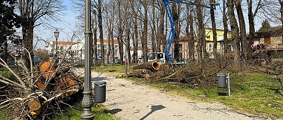 09/04/2026 PARCO DI VILLA OBIZZI, PRESENTATO IL PIANO DI MANUTENZIONE DELLE ALBERATURE
