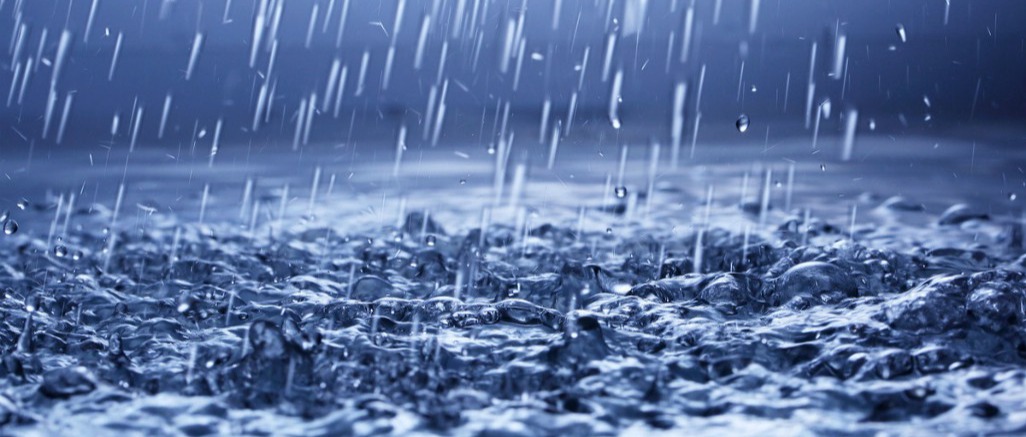 AVVISO URGENTE PER GLI AGRICOLTORI ABRUZZESI