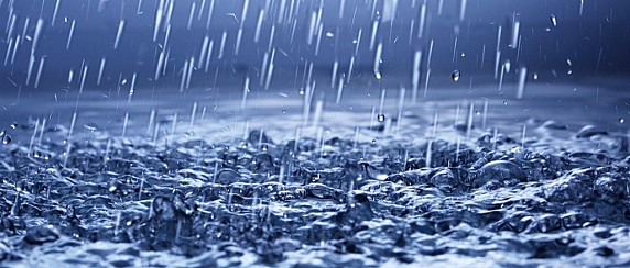 AVVISO URGENTE PER GLI AGRICOLTORI ABRUZZESI