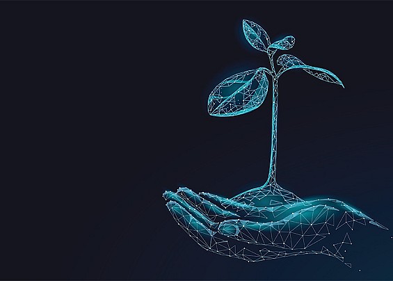 Aggiornamento versione 3.6.72