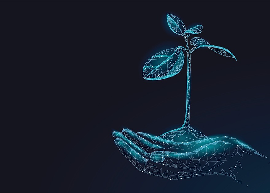 Aggiornamento versione 3.6.72